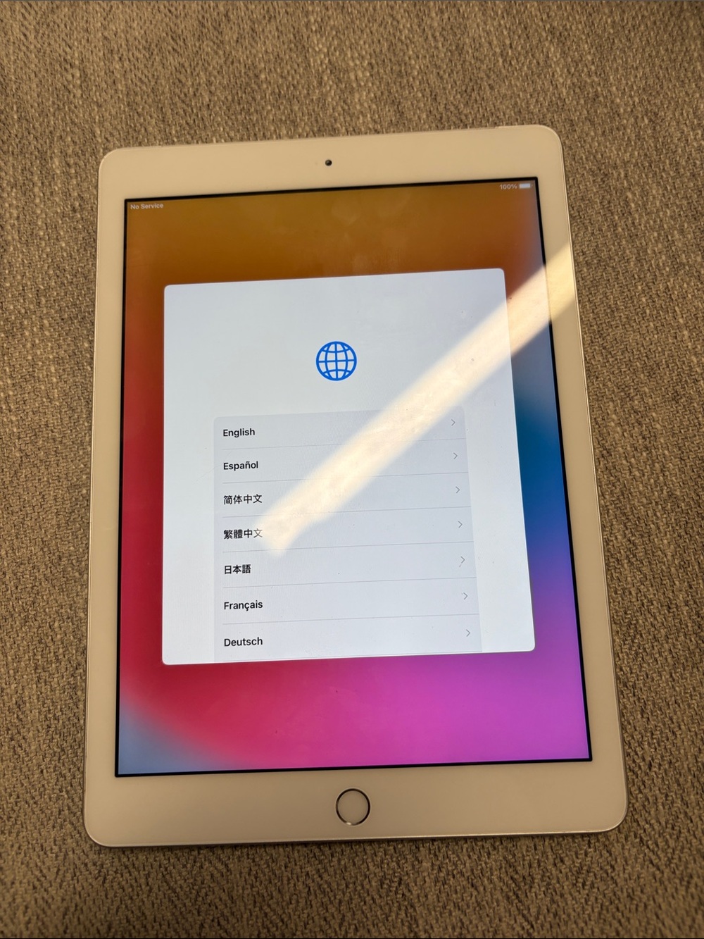 Apple iPad in White with Silver Home Button